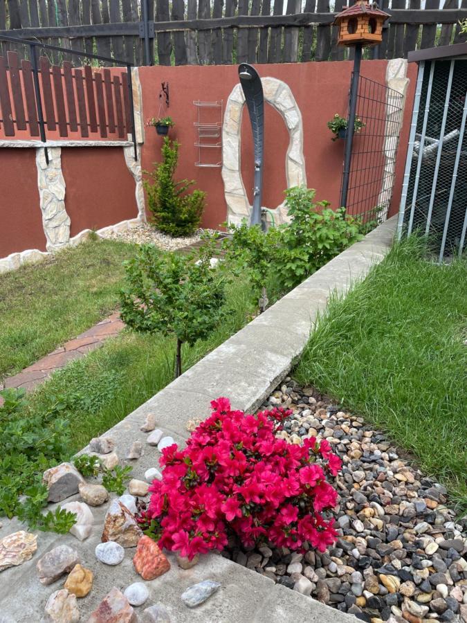 Apartmany U Dlouhana Kadaň Exterior foto